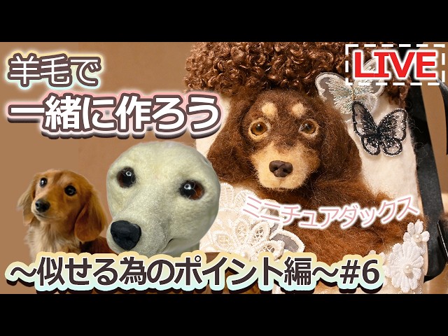 羊毛フェルト】ここから似せていく｜お知らせ｜羊毛の準備 - YouTube