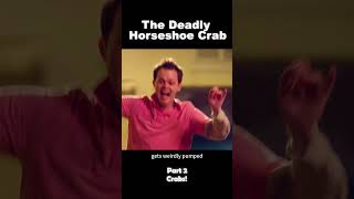 Man finds a horseshoe crab at the beach, but who knew it'd cost him his life?