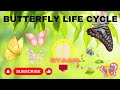 #butterflymagic life cycle #mustwatch .Don't miss this extraordinary visual journey. #viral #video