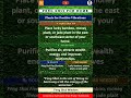 Feng Shui Sutras 6