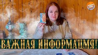 ЭТО ОБЯЗАТЕЛЬНО НУЖНО УСЛЫШАТЬ! - 11 