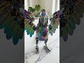 Parrot Transformation #shorts #transformation #parrot