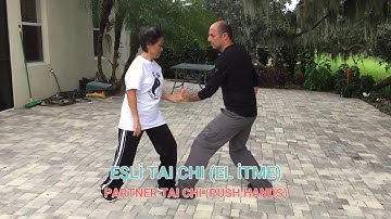 Partner Tai Chi (Push Hands)