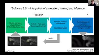 DLC course, Module 2: deep neural networks
