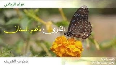 #قراء_الرياض فسبحان الله حين تمسون وحين تصبحون | تلاوة مميزة من سورة الروم | القارئ ناصر السنان