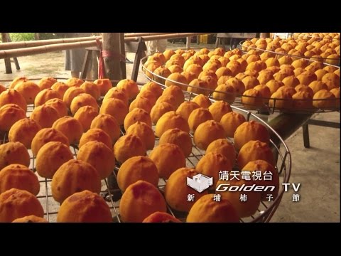 靖天電視台 時時刻刻陪伴您 新埔柿子節