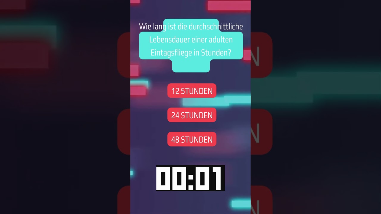 Errate die Zahl: Knifflige Schätzfragen für Ratespaß pur! Pt.10