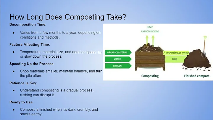 Top 5 Most Asked Composting Questions Answered | Beginner's Guide to Successful Composting!