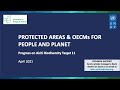 Protected areas & OECMs for People and Planet: Progress on Aichi Biodiversity Target 11