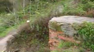 Urge el arreglo del cementerio de Vales Cesures