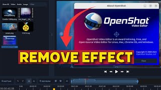 How to Remove Effects in Openshot 2025?