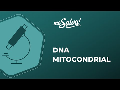 Vídeo: DNA Mitocondrial: O Oncogenoma Esquecido?