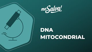 DNA Mitocondrial - Biologia Molecular - Me Salva! Saúde