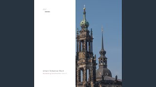 Brandenburg Concerto No. 6 in B-Flat Major, BWV 1051: III. Allegro