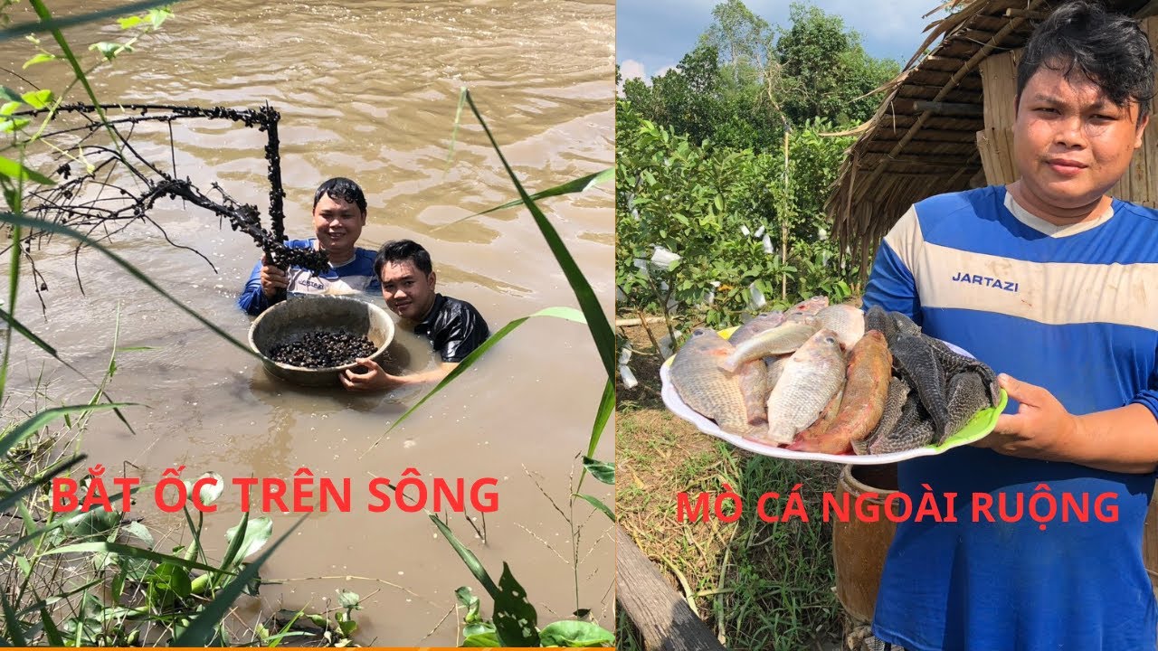 chuyến đi sinh tồn, bắt cá trên đồng, bắt ốc trên sông, bắt cá lau ...