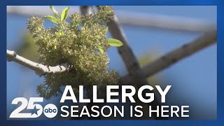 Allergy sufferers will be struggling for weeks to come