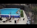 Dogs First Swims In MASSIVE Dock Diving POOL Doggie Daycare Australia The Farm 