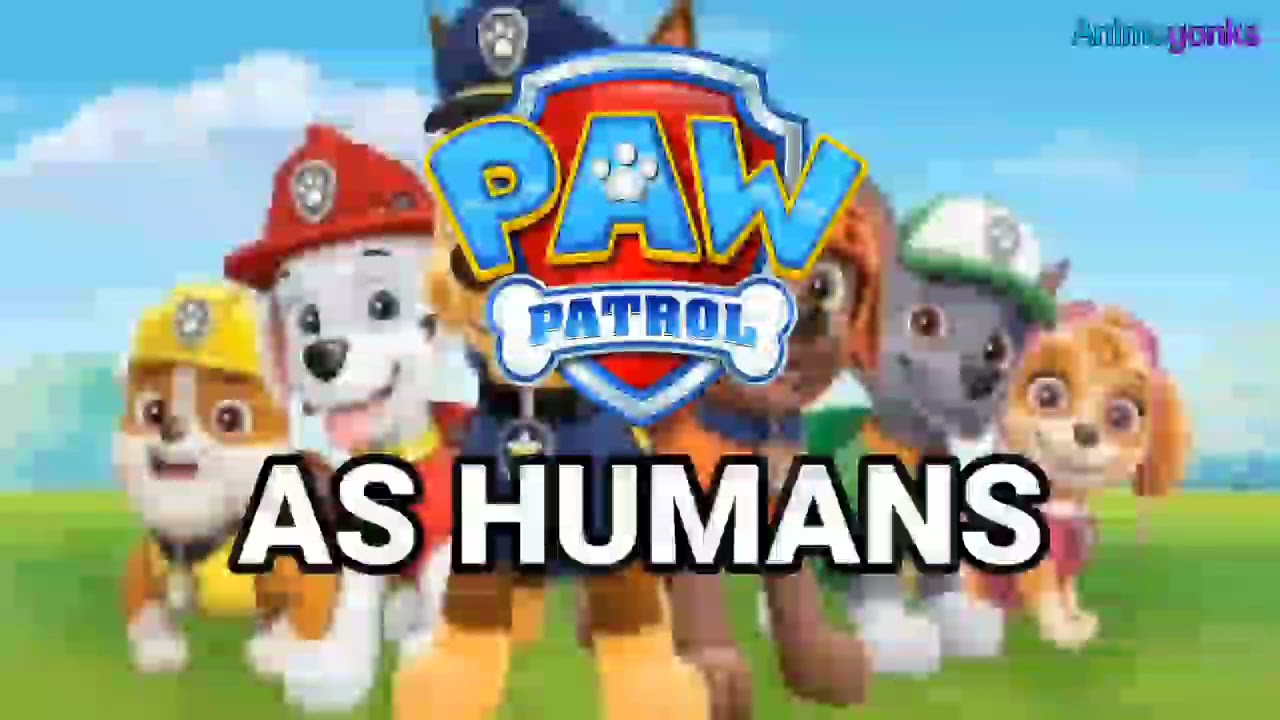 Paw Patrol As Humans
Anime Yonks