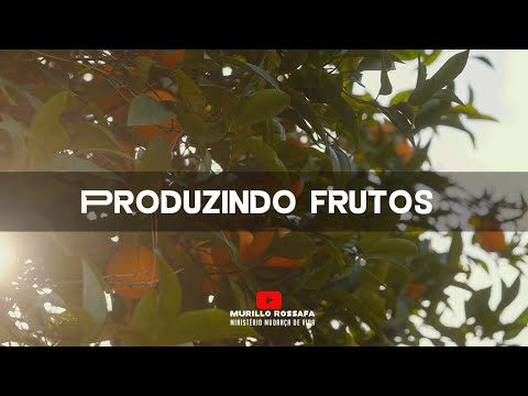 Série Azeite extra EP 123 | PRODUZINDO FRUTOS  | Bispo Murillo