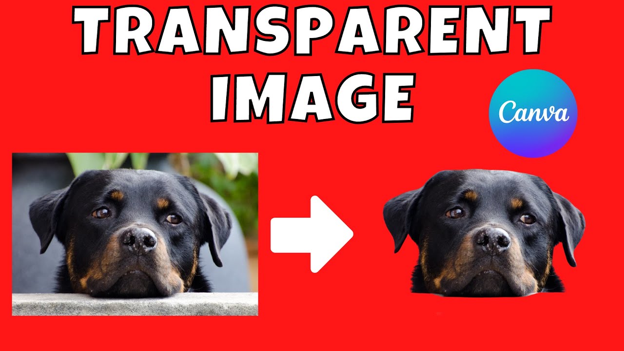 How To Make An Image Not Transparent On Canva How To Make An Image Not Transparent On Canva