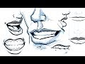 How to Draw Lips and Mouths