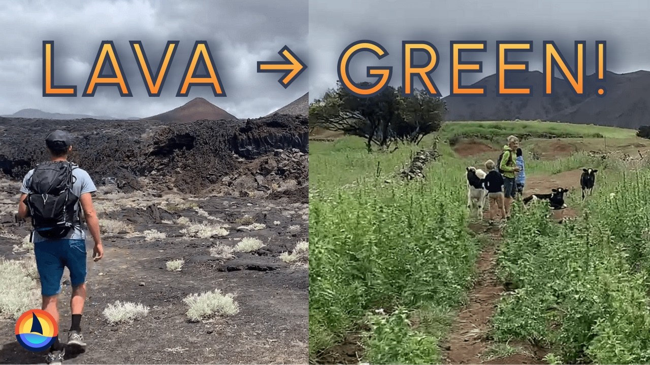 ⁣El Hierro is an island of extremes! | Hiking Las Cancelitas – El Hierro's Green Highlands | Ep70