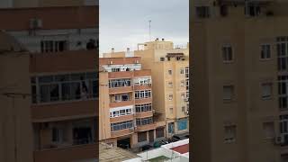 VID 20200330 WA0151