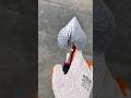 Multi-Angle Miter Shears for DIY Molding" #tools #hardwaretools #asrm #shortsfeed #hardwaretools