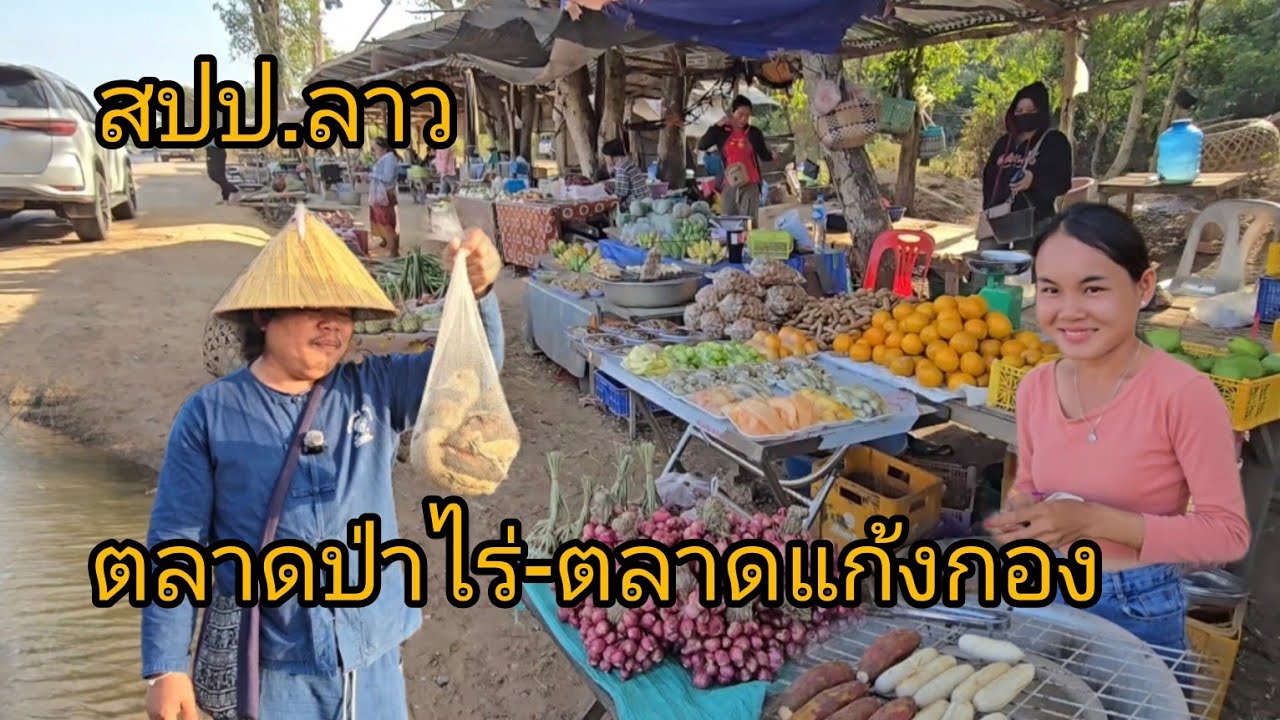#เที่ยวลาว ตลาดของป่า บ้านป่าไร่-ตลาดแก้งกอก เมืองจำพอน #แขวงสะหวันนะเขต #สปปลาว #สาวลาว #food