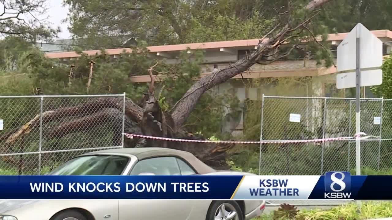 Severe storms knock out power, cause damage across Central Coast - YouTube