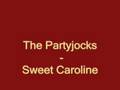 The Partyjocks - Sweet Caroline