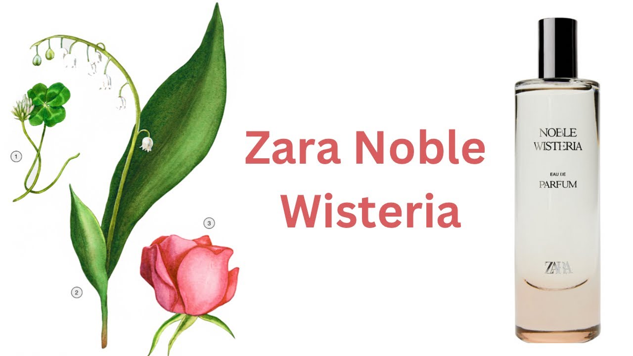 2024 Zara Noble Wisteria Perfume Review | Princess Mok