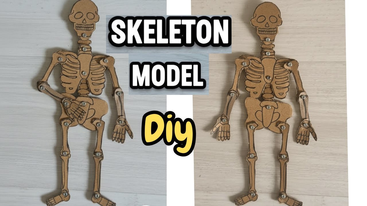 Скелет своими руками 💀 Модель из картона | Простая идея для школьного проекта💡 | Школьный проект