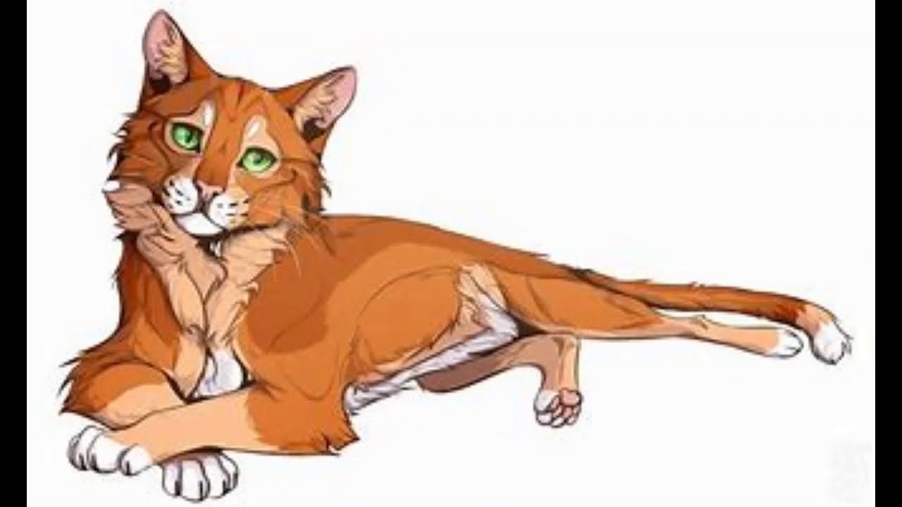 Огнезвезд коты воители арт. Коты Воители Огнезвезд. Огнезвёзд коты Воители арт. Firestar коты Воители. Коты Воители арт Огнезвезд