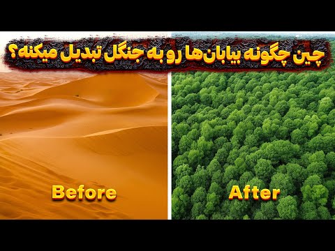 چین چگونه بیابان ها رو به جنگل تبدیل میکنه