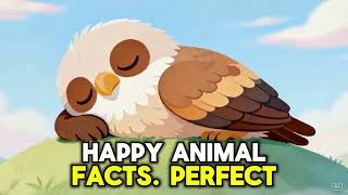 Calm Moment with an Eagle | Gentle Nature Sounds & Sensory-Friendly Relaxation screenshot 4