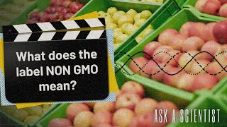ASK A SCIENTIST...What does the label NON GMO mean?