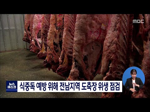 식중독 예방 위해 전남지역 도축장 <strong>위생점검</strong>[목포MBC 뉴스데스크]