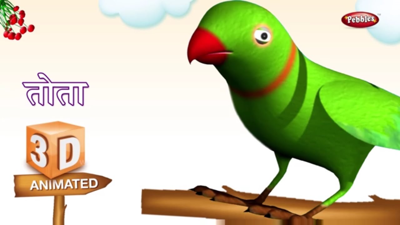 3D Parrot Rhyme in Hindi | Hindi Rhymes For Kids | हिंदी कविता | 3D ...