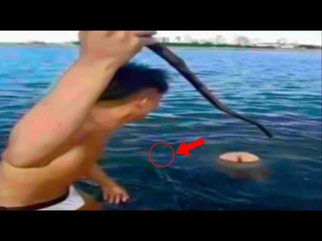 Try Not To Laugh Challenge 😱 | Top 50 Funniest Fail & Memes Don't Missed