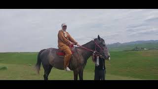 Vaqtinchalik shamol lolaqizgʻaldoq mavsumi da. Qiziltogʻ. Dalalarda - Ziyoda