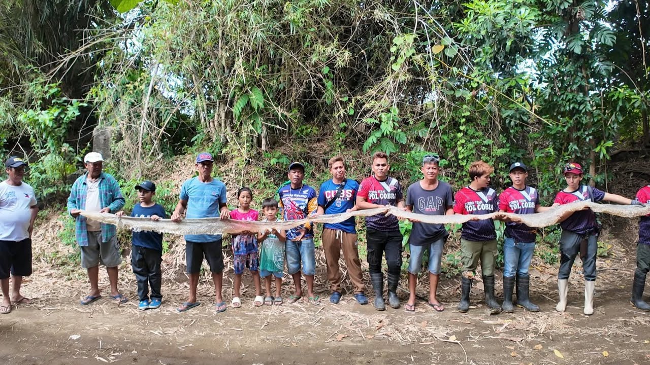 ANG MALAANACONDANG BALAT NG AHAS SA TAAL BATANGAS HINAHAP PARIN.