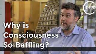 Celebrity Michael Graziano - Why is Consciousness So Baffling? Net Worth