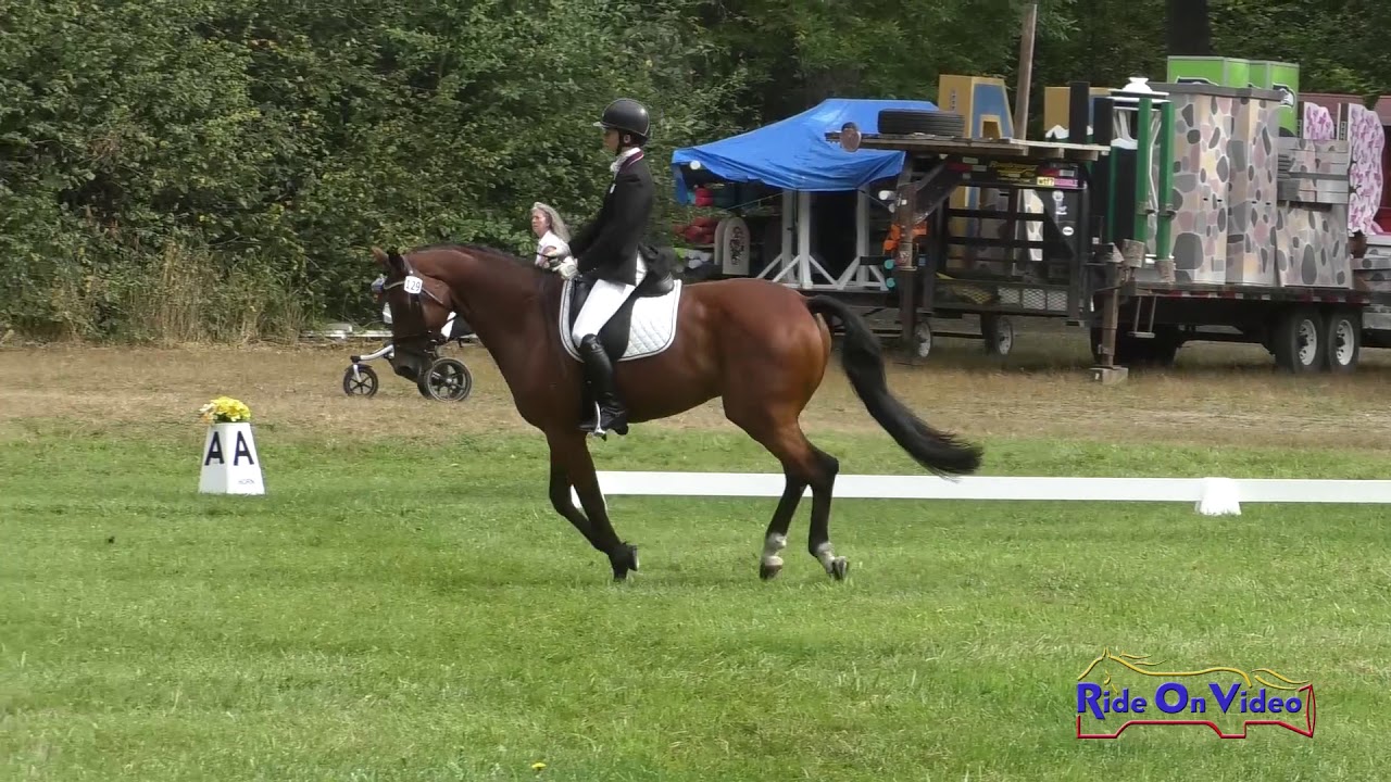 horseshoe bend 129D Lilly Linder on Mia San Mia Open Training Dressage Aspen Farms September 2019