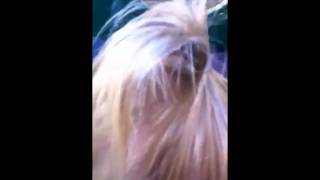 Easter2011.wmv