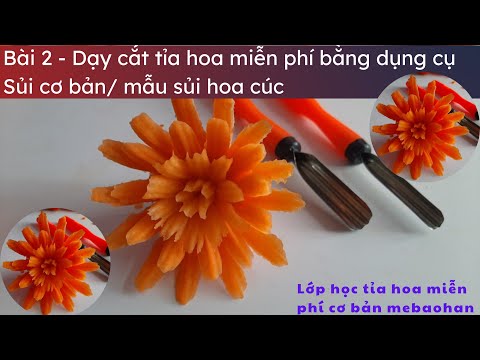 Video: Tỉa hoa cúc Châu Phi - Mẹo về Cách và Khi nào Cắt lại Hoa Cúc Châu Phi