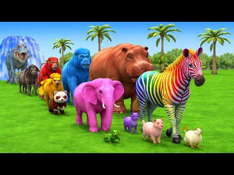 Long Slide Game with Cow Elephant Gorilla Hippopotamus Tiger 3d Animal Game Funny 3d Animals