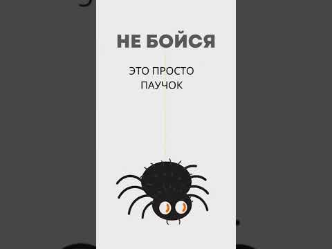 Не бойтесь паучков... )