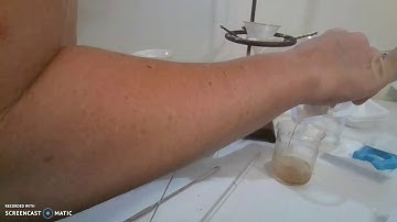 Separation of a Mixture Lab - Option B.II