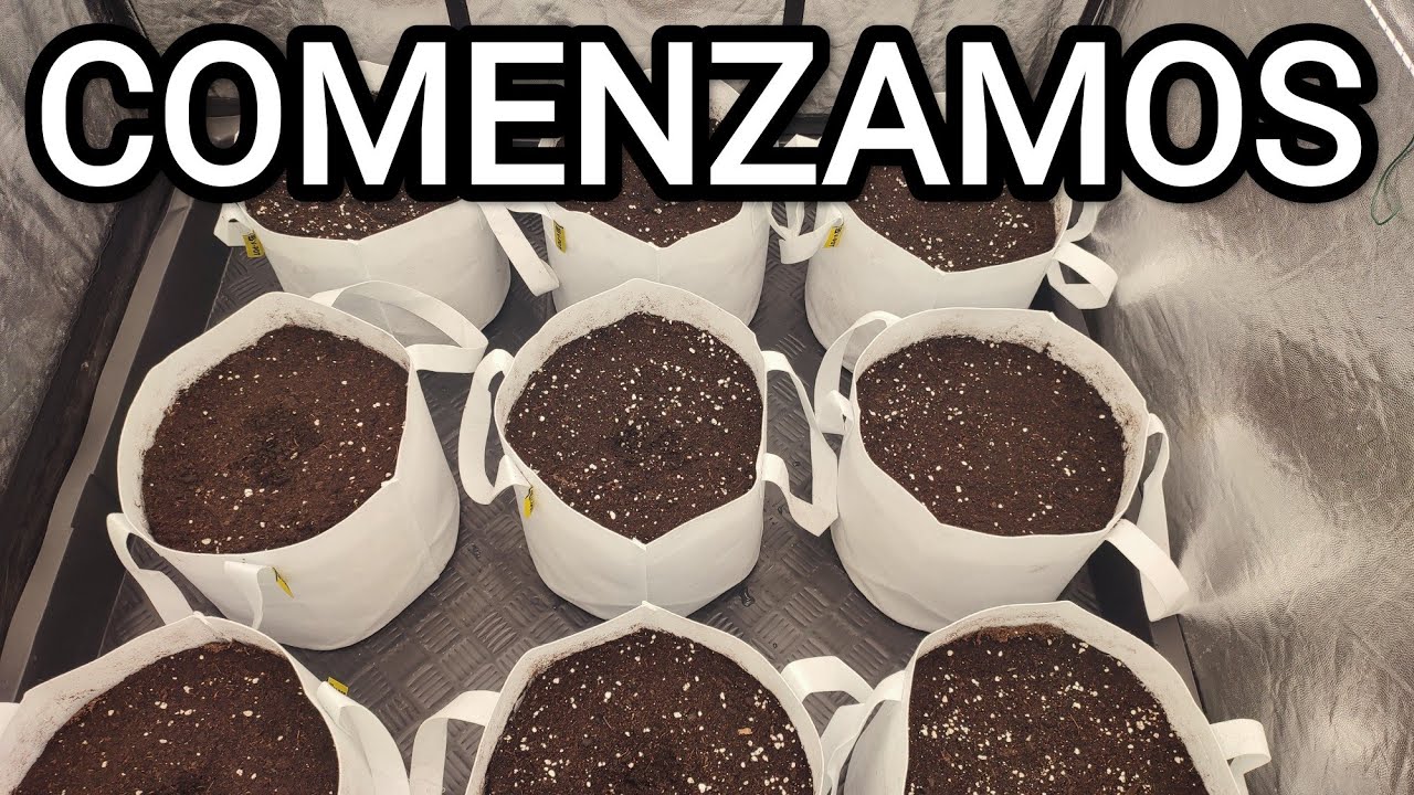 CAPÍTULO 1 | EMPEZAMOS NUEVO CULTIVO | MUCHAS NOVEDADES 🍁